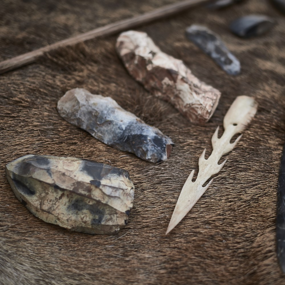 Photo of a selection of flint tool heads