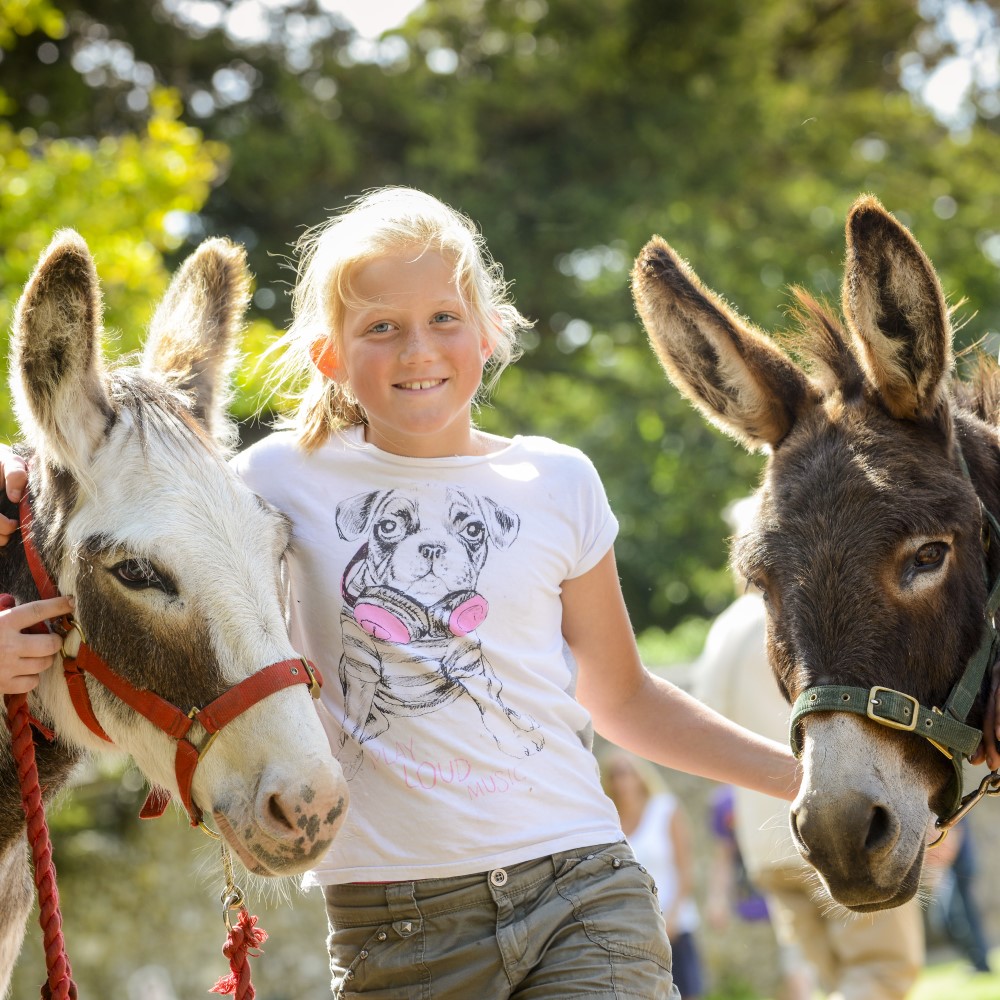 Photo of a young child with two donkeys