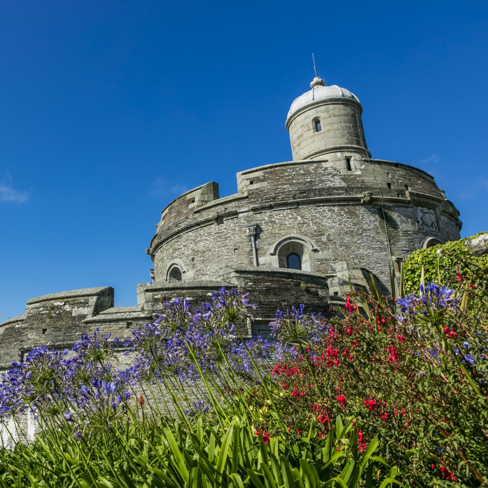 Photo of purple and red wildflowers in front of St Mawes Castle on a clear day