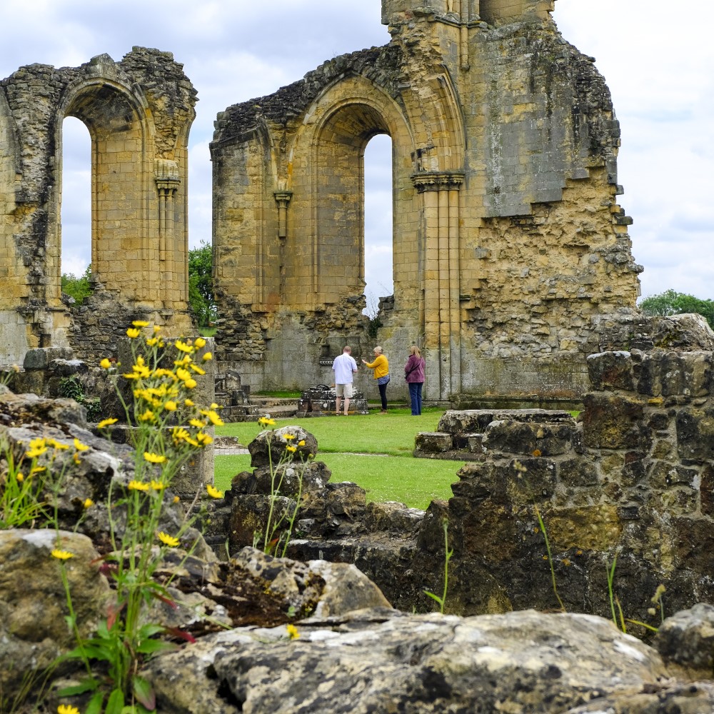 Photo of three people looking round the remains of Byland Abbey with yellow wildflowers growing amongst the remains in the foreground