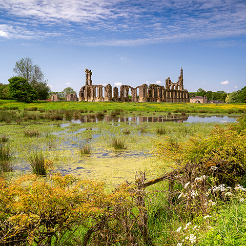 Image: Byland Abbey seen across flooded fields