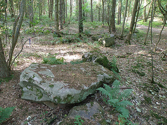 Sarsen stones at West Woods, the probable source area for most of the sarsen used to construct Stonehenge